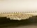 Majestic Gold: Royal Carving 3-Seater Leatherette Sofa (Cream)