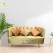 Modern 2-Seater Sofa for Living Room | Stylish Wooden Sofa with Cushioned Back